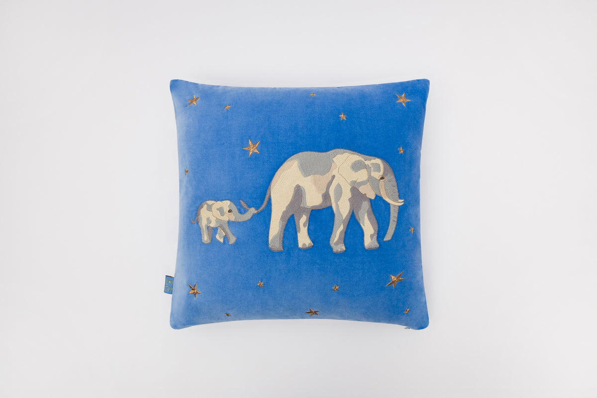 blue-elephant-conservation-