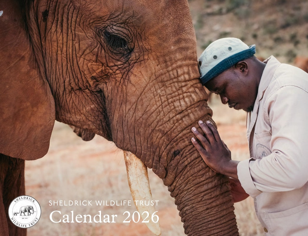 SWT 2026 Calendar