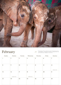 SWT 2026 Calendar