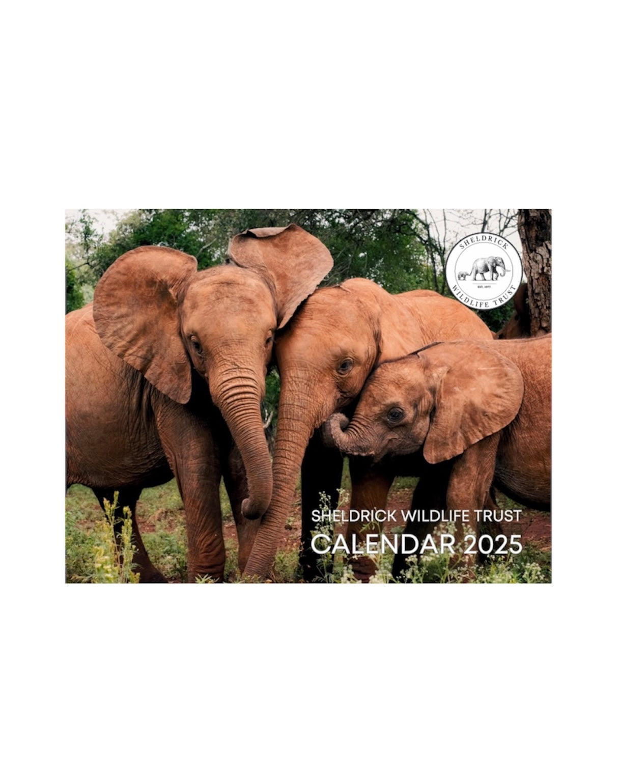 SWT 2025 Calendar