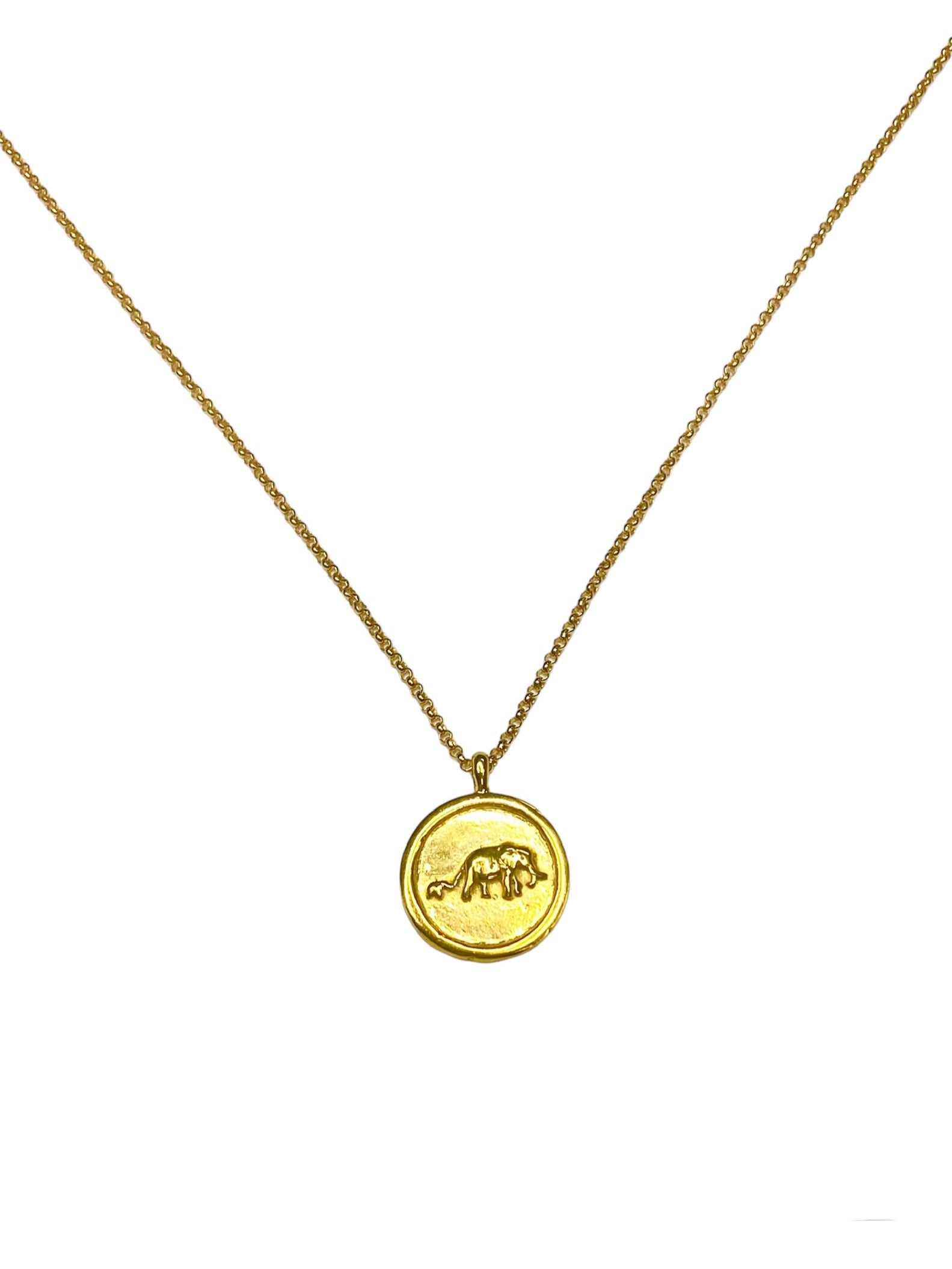 Gold Plated SWT Logo Pendant Necklace