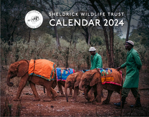 SWT 2024 Calendar