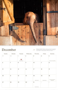 SWT 2026 Calendar