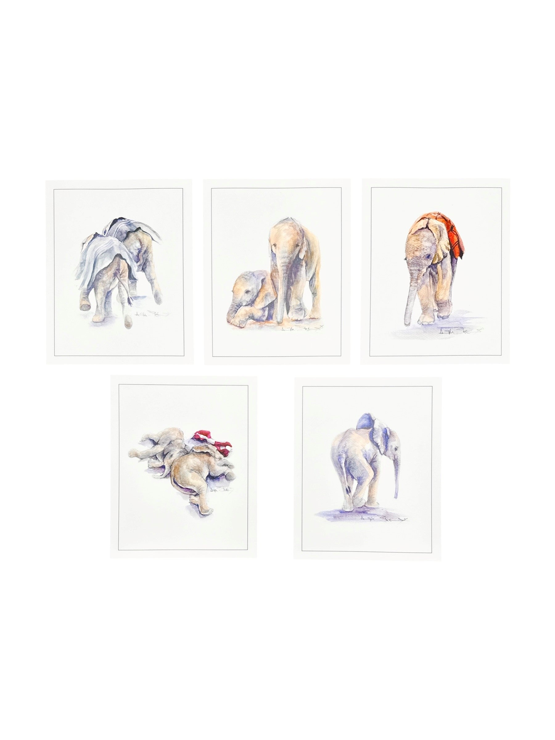 Watercolor Prints by Angela Sheldrick