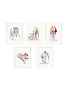 Watercolor Prints by Angela Sheldrick