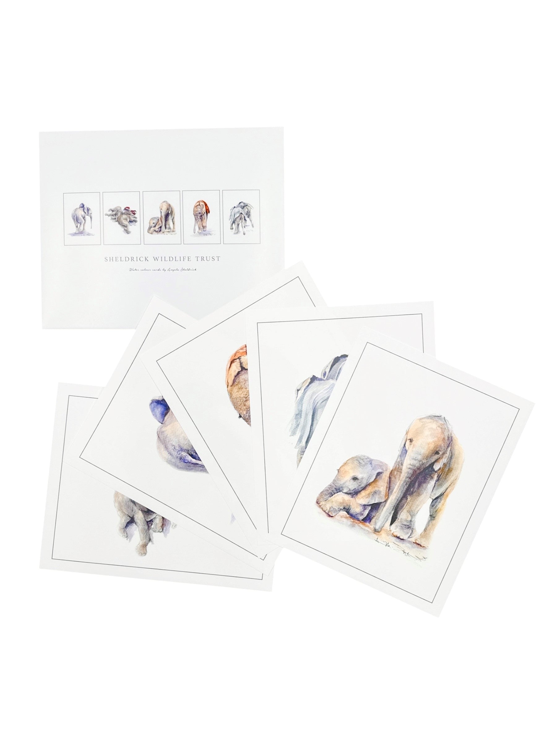 Watercolor Prints by Angela Sheldrick