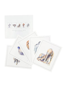 Watercolor Prints by Angela Sheldrick