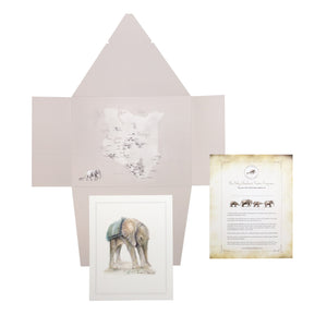 Foster Certificate Gift Packet