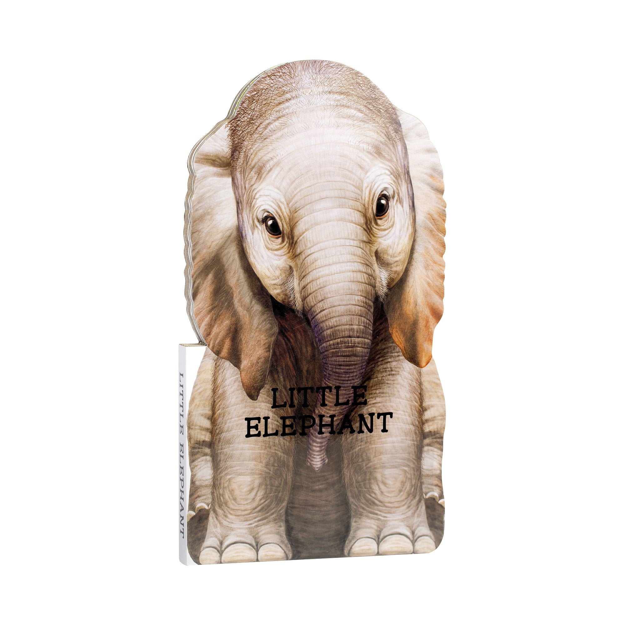 Little Elephant Board Book