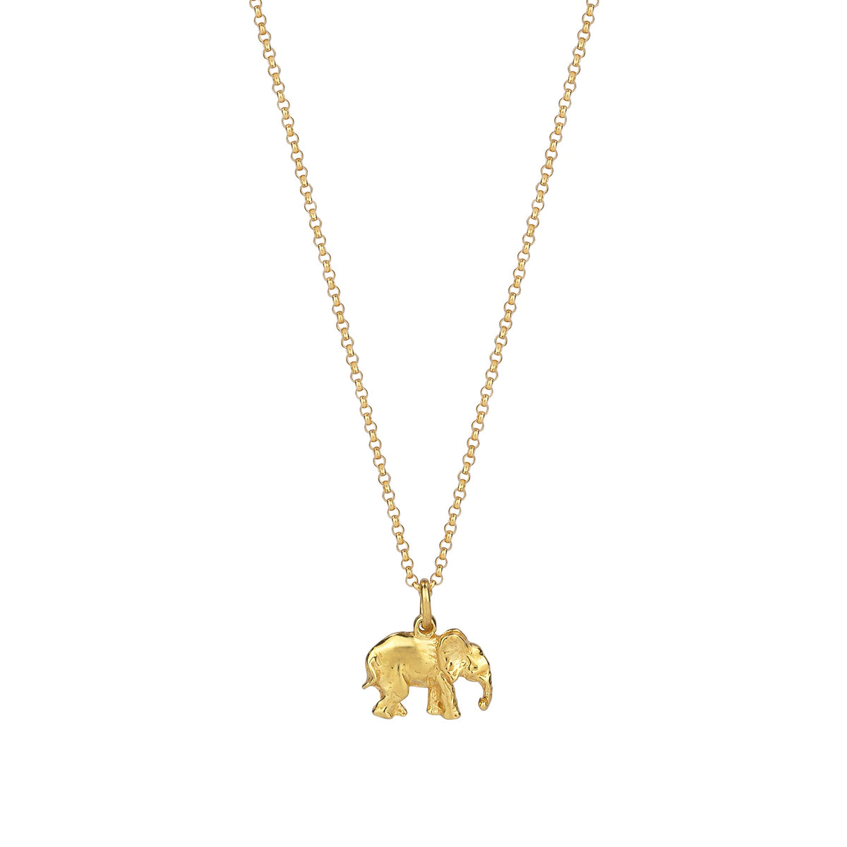 Gold Plated Elephant Charm Necklace – Sheldrick Wildlife Trust USA